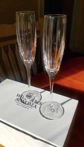 Champagne Flute Set